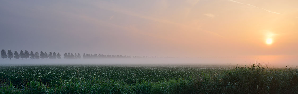 sliderbiesboschfoto1260x400px